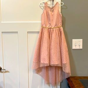 Girls Dress Size 10 Light Baby Pink Gold Glitter Tulle Rare Edition